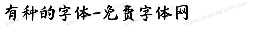 有种的字体字体转换