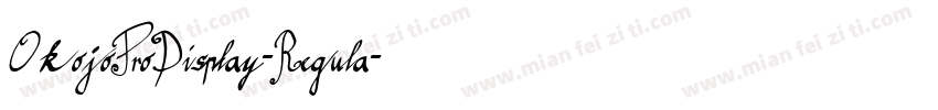 OkojoProDisplay-Regula字体转换