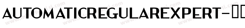 AutomaticRegularExpert字体转换