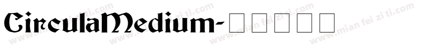 CirculaMedium字体转换