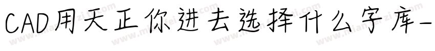 CAD用天正你进去选择什么字库字体转换