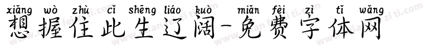 想握住此生辽阔字体转换