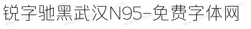 锐字驰黑武汉N95字体转换