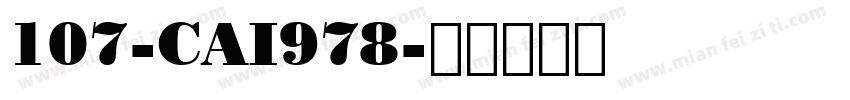 107-CAI978字体转换