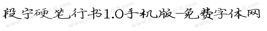 段宁硬笔行书1.0手机版字体转换