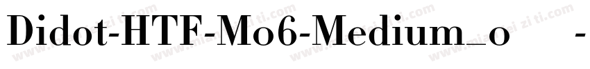 Didot-HTF-M06-Medium_0转换器字体转换