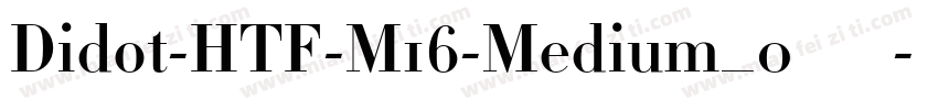 Didot-HTF-M16-Medium_0转换器字体转换