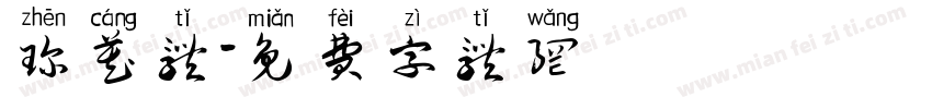 珍藏体字体转换