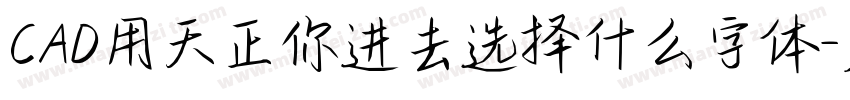 CAD用天正你进去选择什么字体字体转换