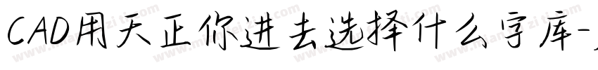 CAD用天正你进去选择什么字库字体转换