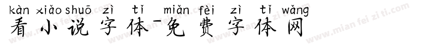 看小说字体字体转换