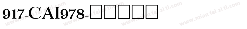 917-CAI978字体转换
