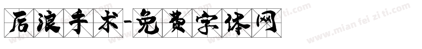 后浪手术字体转换