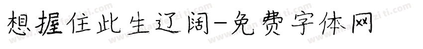 想握住此生辽阔字体转换