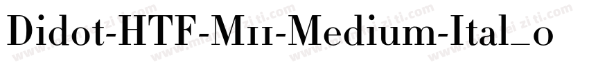 Didot-HTF-M11-Medium-Ital_0转换器字体转换