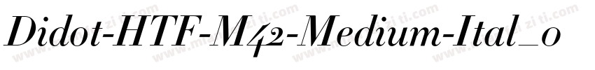 Didot-HTF-M42-Medium-Ital_0手机版字体转换