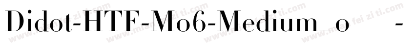 Didot-HTF-M06-Medium_0转换器字体转换