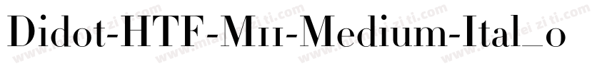 Didot-HTF-M11-Medium-Ital_0手机版字体转换