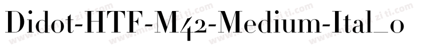 Didot-HTF-M42-Medium-Ital_0手机版字体转换