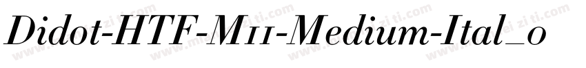 Didot-HTF-M11-Medium-Ital_0转换器字体转换