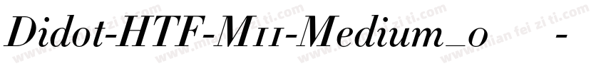 Didot-HTF-M11-Medium_0手机版字体转换