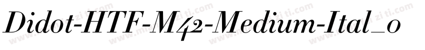 Didot-HTF-M42-Medium-Ital_0手机版字体转换