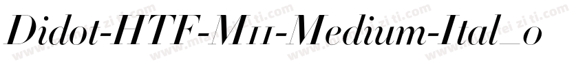 Didot-HTF-M11-Medium-Ital_0手机版字体转换