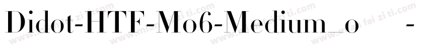 Didot-HTF-M06-Medium_0手机版字体转换