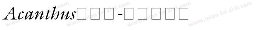 Acanthus手机版字体转换