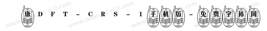 崋康DFT-CRS-1手机版字体转换