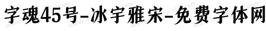 字魂45号-冰宇雅宋字体转换