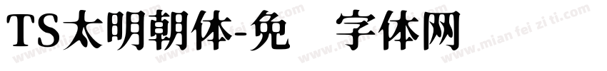 TS太明朝体字体转换