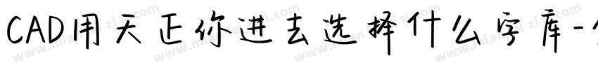 CAD用天正你进去选择什么字库字体转换