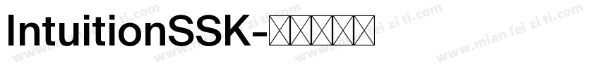 IntuitionSSK字体转换