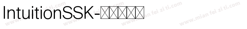 IntuitionSSK字体转换
