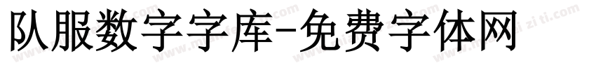 队服数字字库字体转换