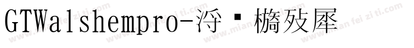 GTWalshempro字体转换