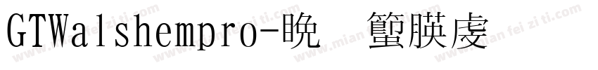 GTWalshempro字体转换