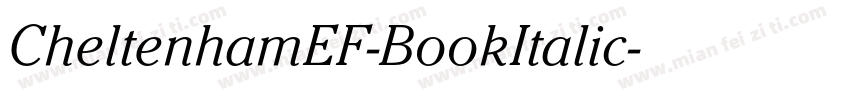 CheltenhamEF-BookItalic字体转换