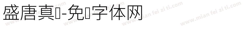 盛唐真书字体转换