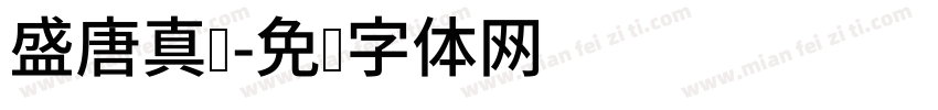 盛唐真书字体转换