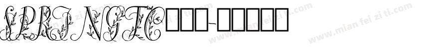 SPRINGTC转换器字体转换