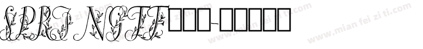 SPRINGTF生成器字体转换