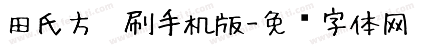 田氏方笔刷手机版字体转换