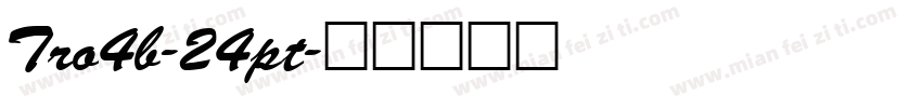 Tro4b-24pt字体转换