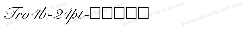 Tro4b-24pt字体转换