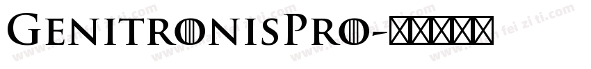 GenitronisPro字体转换