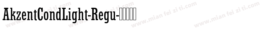 AkzentCondLight-Regu字体转换