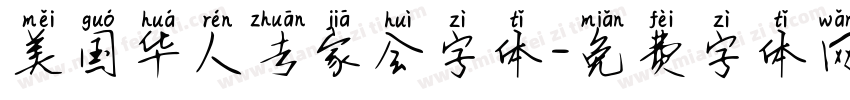 美国华人专家会字体字体转换