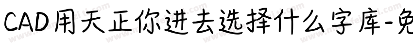 CAD用天正你进去选择什么字库字体转换